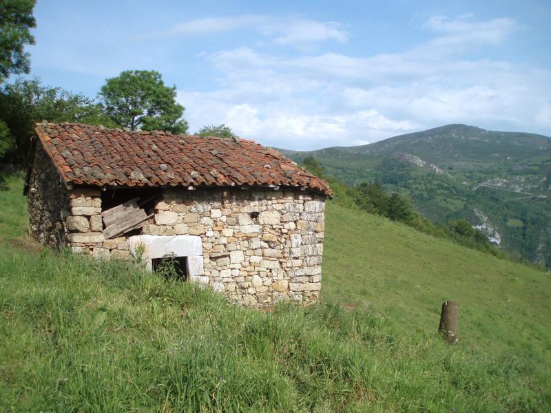 Foto bc0d2b88-ccd3-41ad-9853-90ef67b04a30. Finca rústica a n/a a Grado