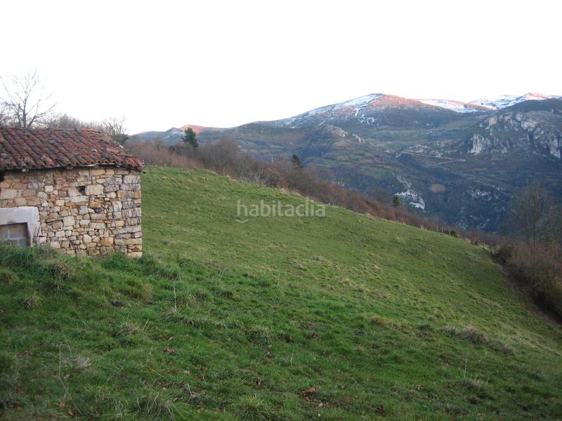 Foto bf6d2cca-bc95-4604-994a-145e7c5a9c80. Finca rústica a n/a a Grado