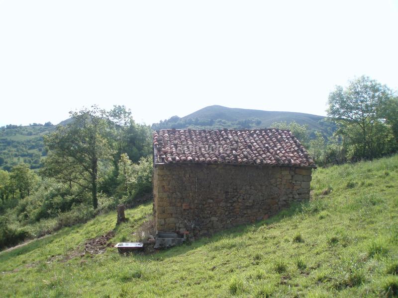 Foto f57c8057-a5da-489b-98ff-066bb10f8964. Finca rústica a n/a a Grado