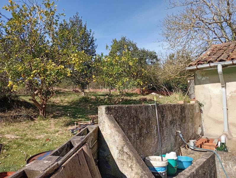 Foto 16e52368-51ee-4f05-abee-9f0ffc3c9c14. Casa en Carreño