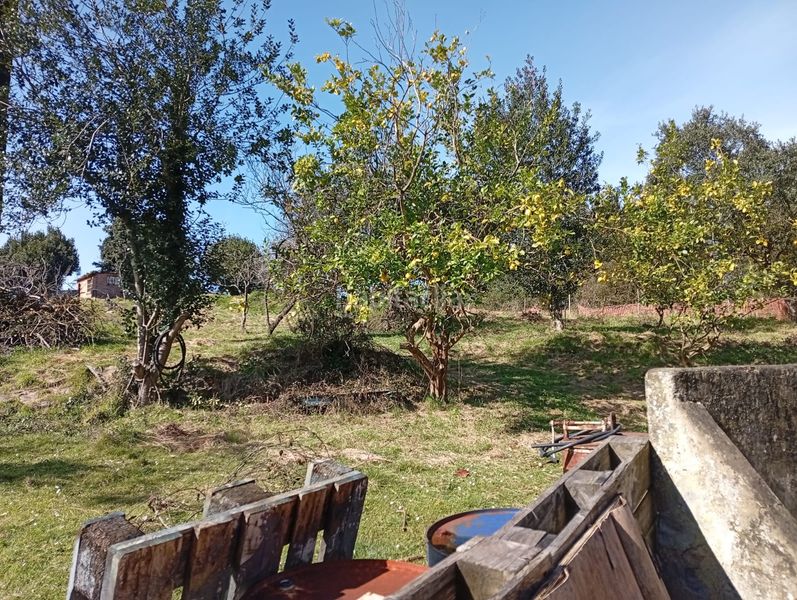 Foto 5ca1826b-5935-431b-b225-1792ee6e2986. Casa en Carreño