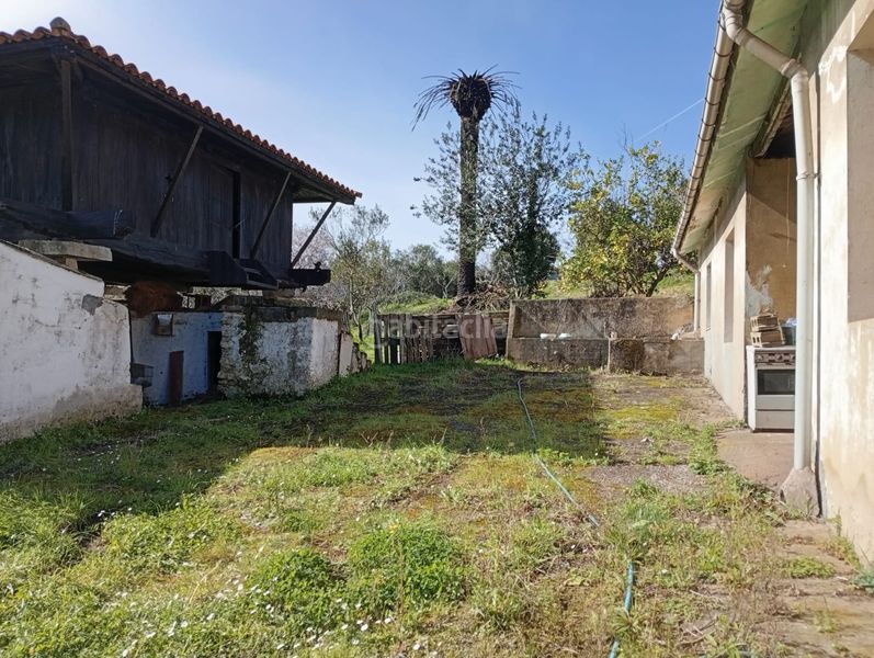 Foto bbf03859-f733-4757-a7d9-b40f8bf047c8. Casa en Carreño