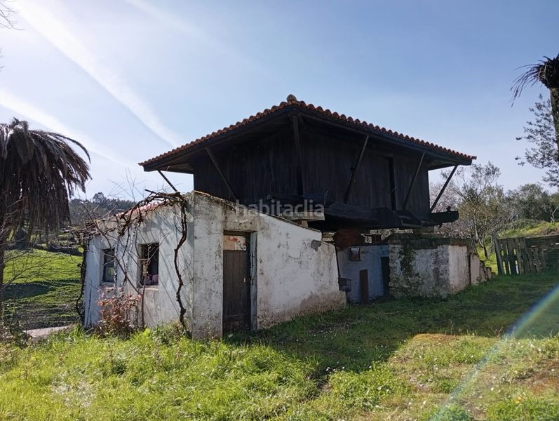 Foto cd84191d-bd5c-4b8c-af4c-52a510ec8c9a. Casa en Carreño