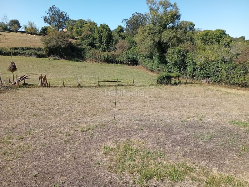 Foto 332dca6d-86a5-49d8-97d5-932255fdc75e. Terreno residencial en caserio casa de anes 267 venta finca edificable en noreña en Siero