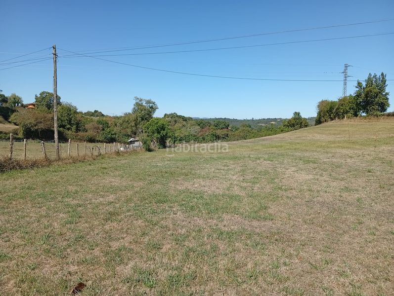 Foto fa9e1b39-9fe0-47c2-823b-224b72a54537. Terreno residencial en caserio casa de anes 267 venta finca edificable en noreña en Siero