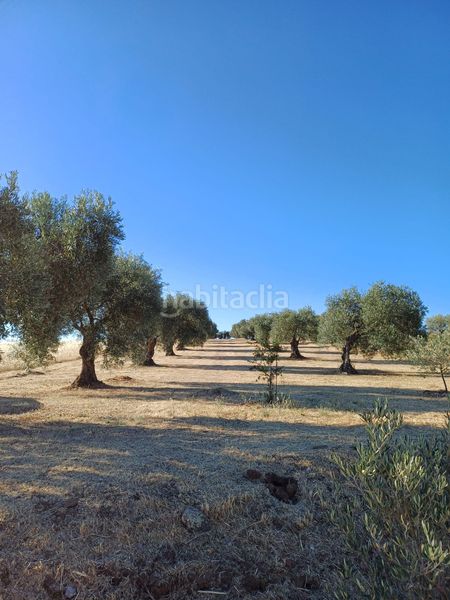 Foto 5a2bfcb6-e6e0-4421-a8bb-362bbc4a4ced. Finca rústica a Villanueva de la Serena