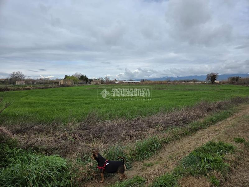 Foto 9c56ed06-fc89-4c6a-9e5c-24a0ba38cd97. Propriété dans Pedanías Huesca