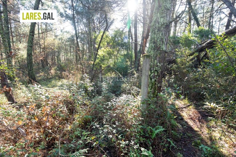 Foto 476a1f42-d3b7-4bd4-8d20-4bdb602f0e40. Finca rústica parcela en nerga, en O Hío Cangas