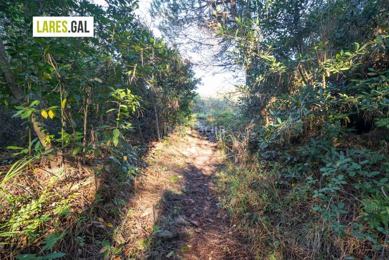 Foto 54855acd-41ab-46f4-9386-f75b1fde2c3d. Finca rústica parcela en nerga, en O Hío Cangas
