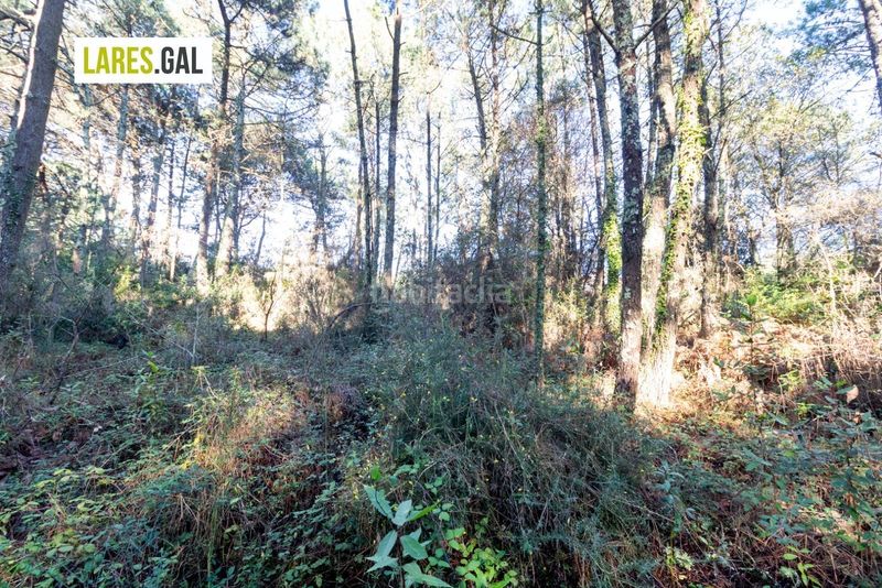 Foto 5e52b536-b7bd-4ed2-b376-38e0fd8e3ed7. Finca rústica parcela en nerga, en O Hío Cangas
