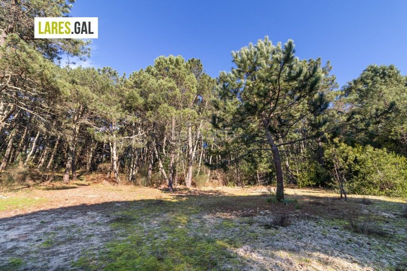 Foto af618f8e-7408-48a1-b361-2956fdfcea87. Finca rústica parcela en nerga, en O Hío Cangas