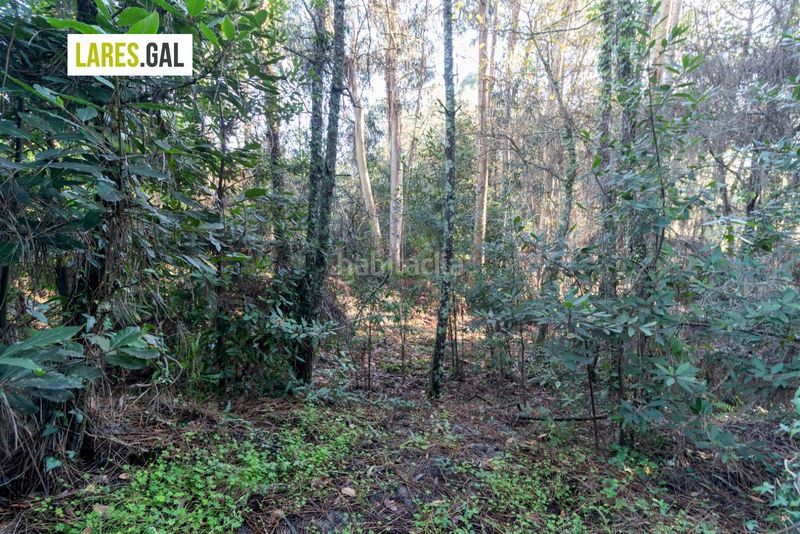 Foto b642f854-8031-4245-aa9c-a8ab07025889. Finca rústica parcela en nerga, en O Hío Cangas