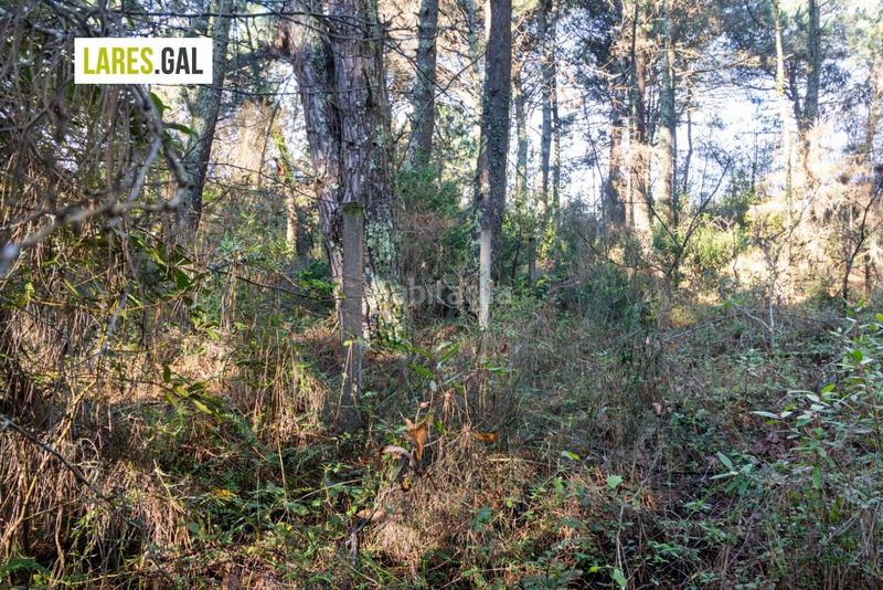 Foto 3910c1a0-900a-49be-aa62-2bebf43cac92. Fondo rustico in O Hío Cangas