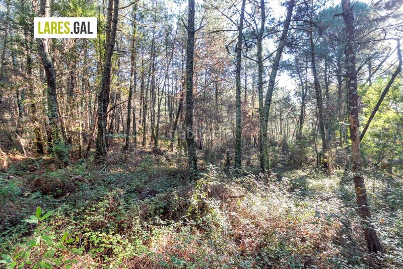 Foto 502a8190-2c3e-4921-b131-1012a8606410. Fondo rustico in O Hío Cangas