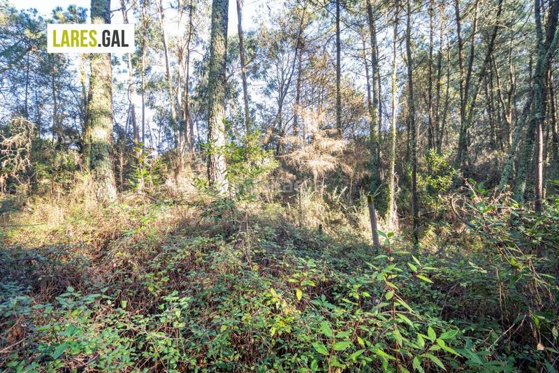 Foto ab0f03d0-4a40-4c4c-bcf0-5e06a85fb04e. Fondo rustico in O Hío Cangas