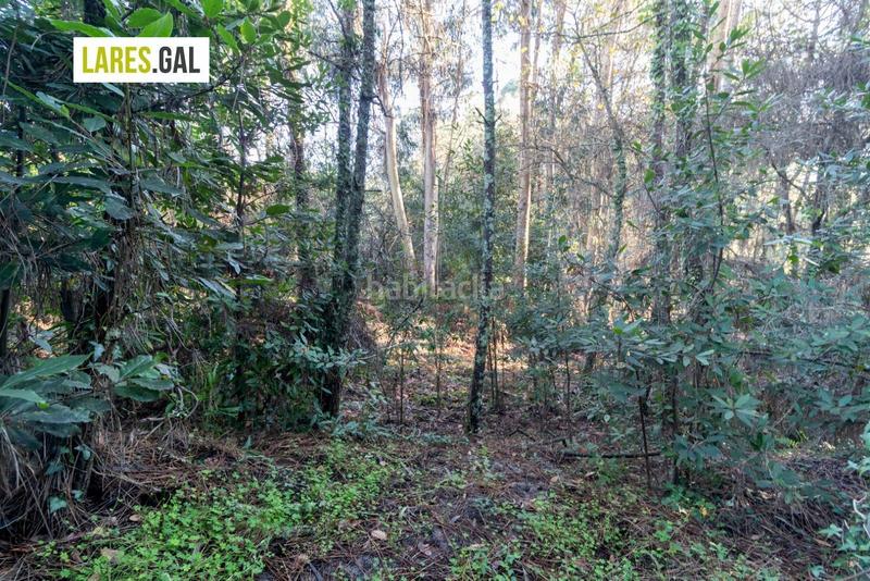 Foto b642f854-8031-4245-aa9c-a8ab07025889. Fondo rustico in O Hío Cangas