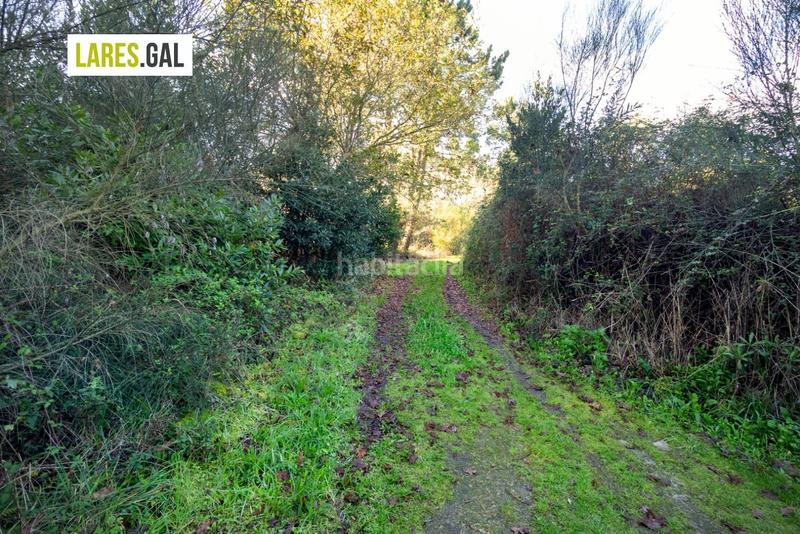 Foto e4831aae-5713-43b4-af56-c11178c6f5b5. Fondo rustico in O Hío Cangas