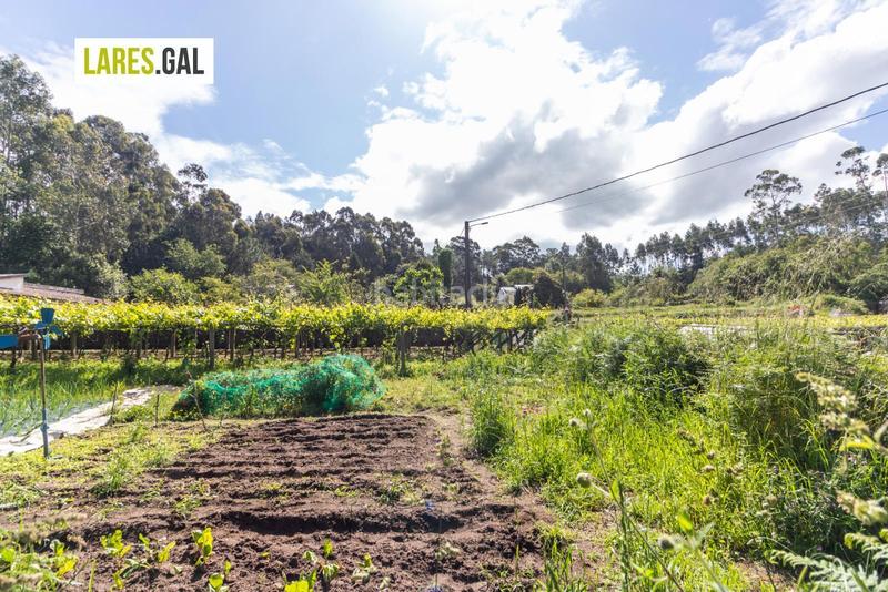 Foto 063a7c28-e391-48d8-bf4e-b8c1d1384ca5. Finca rústica terreno edificable a la venta en herbello, Aldán. en Cangas