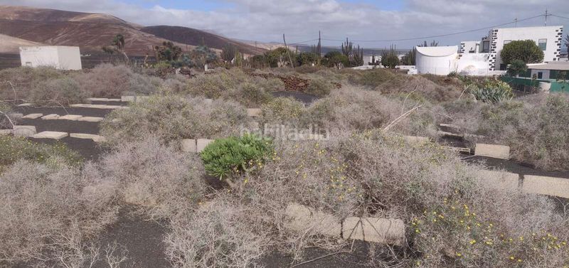 Foto c7d18341-0c23-4532-8c1a-c50725223fe5. Finca rústica a Mala Haría