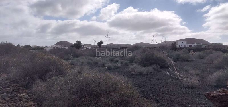 Foto d64be950-1130-448a-b547-97d79daec703. Finca rústica a Mala Haría
