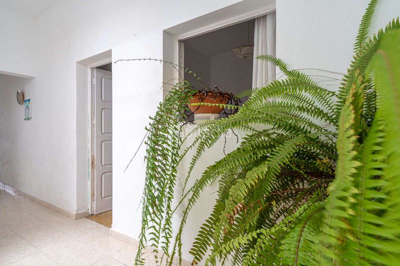 Foto 85039a21-b784-4cb0-a902-7b0b99dabf6d. Casa a San Bartolomé pueblo San Bartolomé