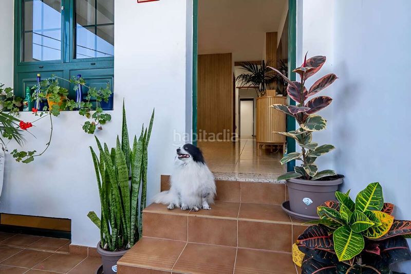 Foto ebf1a481-694b-4244-9d0a-49a86c4764b1. Triplex dans Uga Yaiza