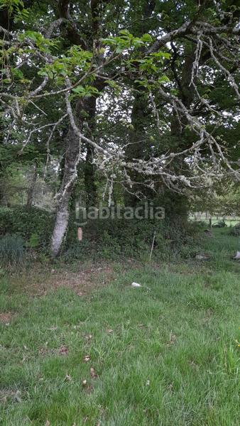Foto 4dd03550-3250-4b7e-bec4-105de5e3ab6d. Mas dans Friol
