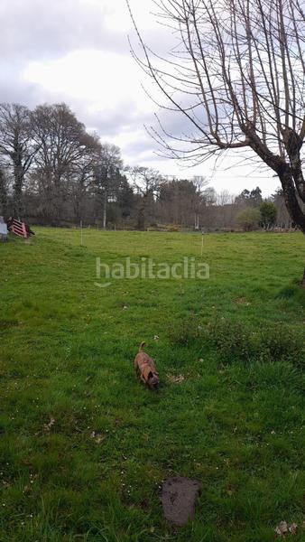 Foto b9d46302-d588-4ed0-9098-ff9581ce2353. Mas dans Friol
