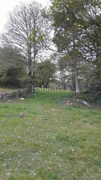 Foto e6dd7f39-860e-43af-ba04-211f3af81bcf. Mas dans Friol