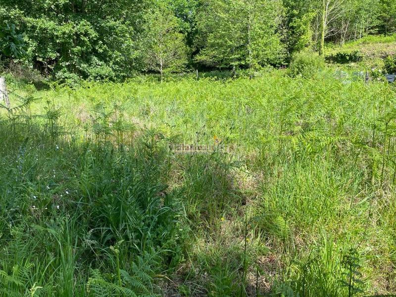 Foto 83841aae-6a74-43e0-9c90-01688d160551. Wohngrundstück in Mondariz