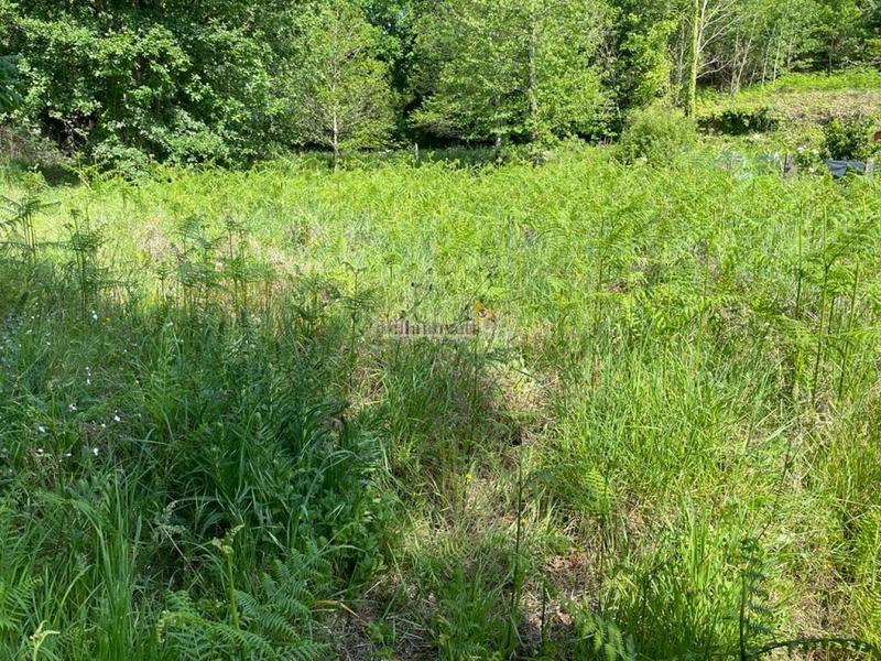 Foto e64aaccd-2d06-4993-869f-b99e78c6676e. Wohngrundstück in Mondariz