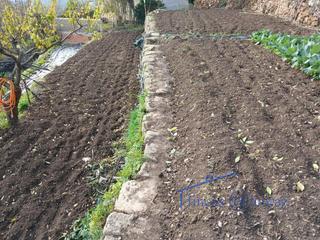 Residential Plot  Coso