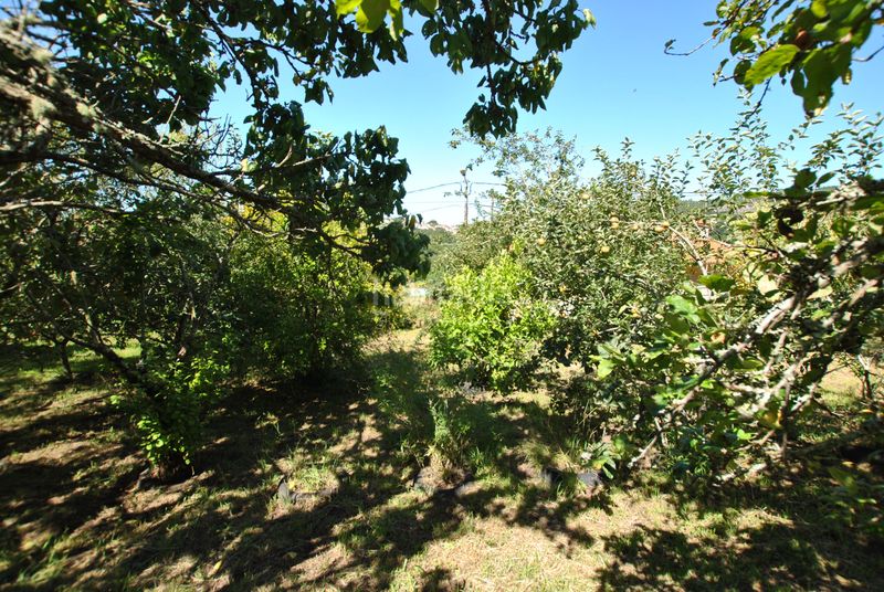 Foto 33e096e8-8358-48a9-96fe-f7c9faf52341. Casa  con finca en Darbo en Darbo Cangas