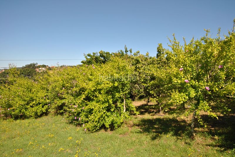 Foto 7baef656-04b0-4b49-a2a3-e14b6bd73480. Casa  con finca en Darbo en Darbo Cangas