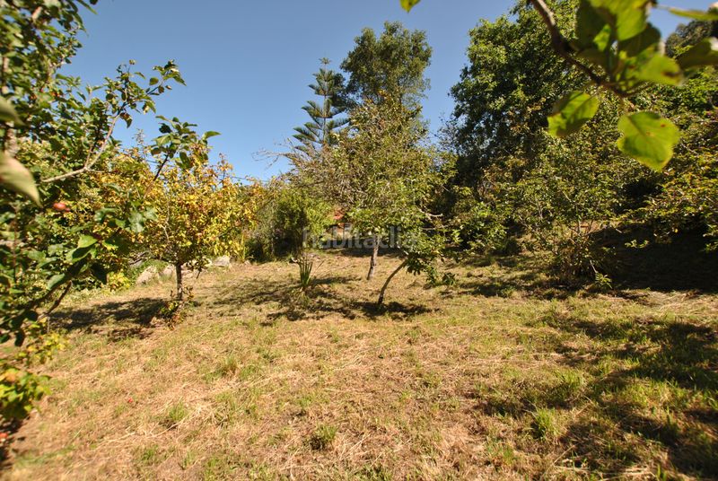 Foto dbc765ed-a270-48fb-85fd-deda6f5101bb. Casa  con finca en Darbo en Darbo Cangas