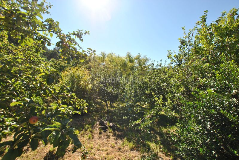 Foto df5faa6e-6177-47c4-81c4-2c1f4157e9fd. Casa  con finca en Darbo en Darbo Cangas