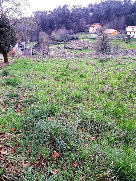 Foto 4c154d06-5bca-4340-b8bd-898b0437ab50. Terreno residencial en n/a en Mos