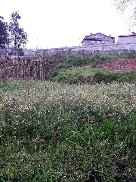 Foto b193bd38-2050-495d-82ae-ca2e3ffc8474. Terreno residencial en n/a en Mos