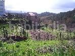 Foto e235cdf1-8710-43f5-8343-458dcf895ed9. Casa adossada a n/a a Arbo