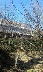 House  N/a