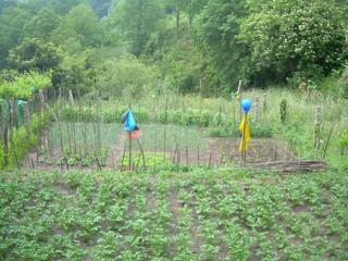 Rural plot in N/a