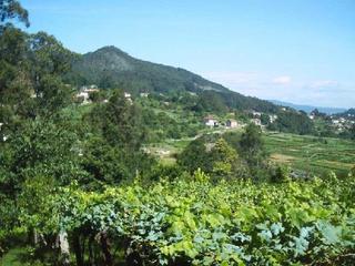 Finca rústica a Redondela