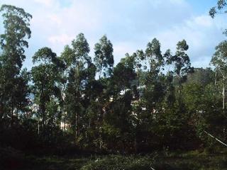 Terreno residencial  Aeroporto