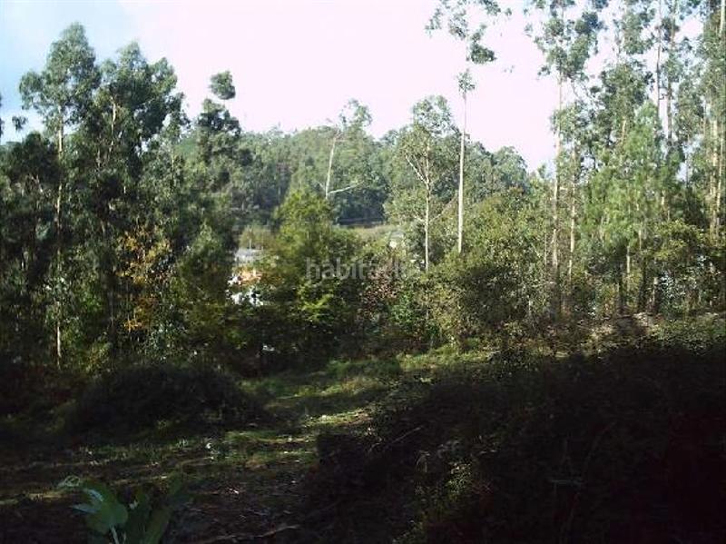 Foto 070db4e0-0dd6-42fa-bcb6-4169c55cac01. Terreno residenziale in Lavadores Vigo