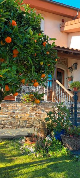 Foto 23a989c0-10f4-4c89-b4c1-1a648b817776. Chalet  impecable centro en El Carbayedo - El Quirinal Avilés