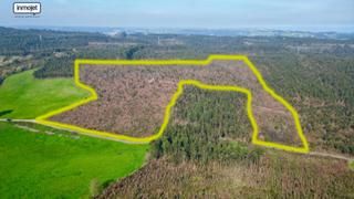 Wohngrundstück in Del monte areo-fresno 232. Alta rentabilidad  monte de eucaliptos a la venta en gijón