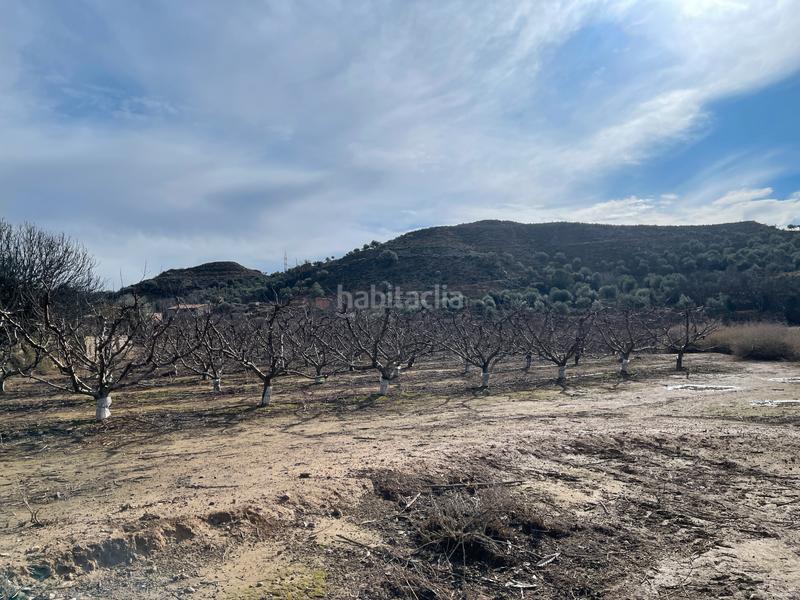 Foto c37d3dad-f48b-4f94-9a3f-06ecc3d61a6a. Finca rústica a partida poligono 011 22 a Fraga