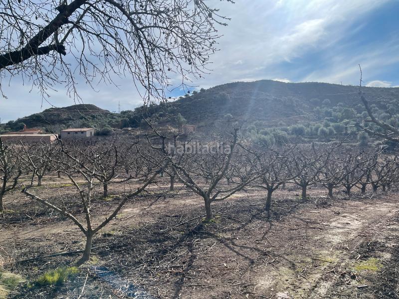 Foto d4761fa5-5e3f-4b3d-b21e-8699d6e83267. Finca rústica a partida poligono 011 22 a Fraga