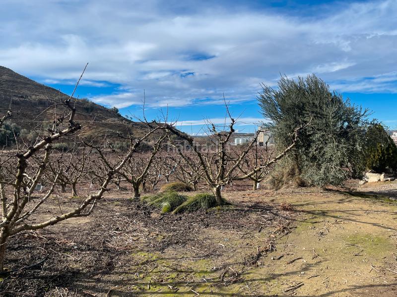 Foto ede19005-15c2-41af-8c58-2fecab5cbb35. Finca rústica a partida poligono 011 22 a Fraga