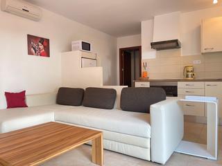 Rent Apartment in Passeig maritim 134